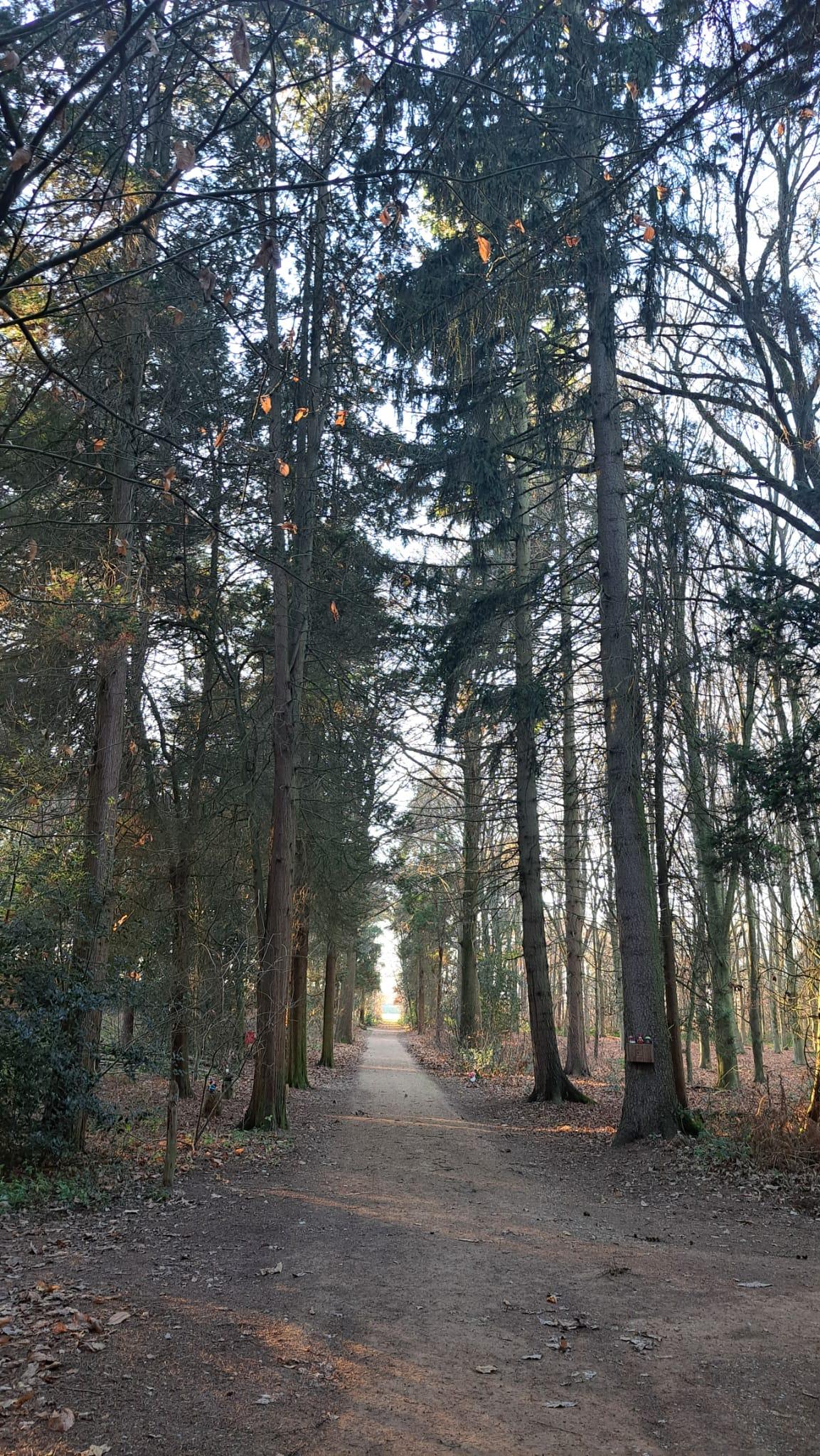 R1 2025-12-29 at 08.30.37 (4).jpeg