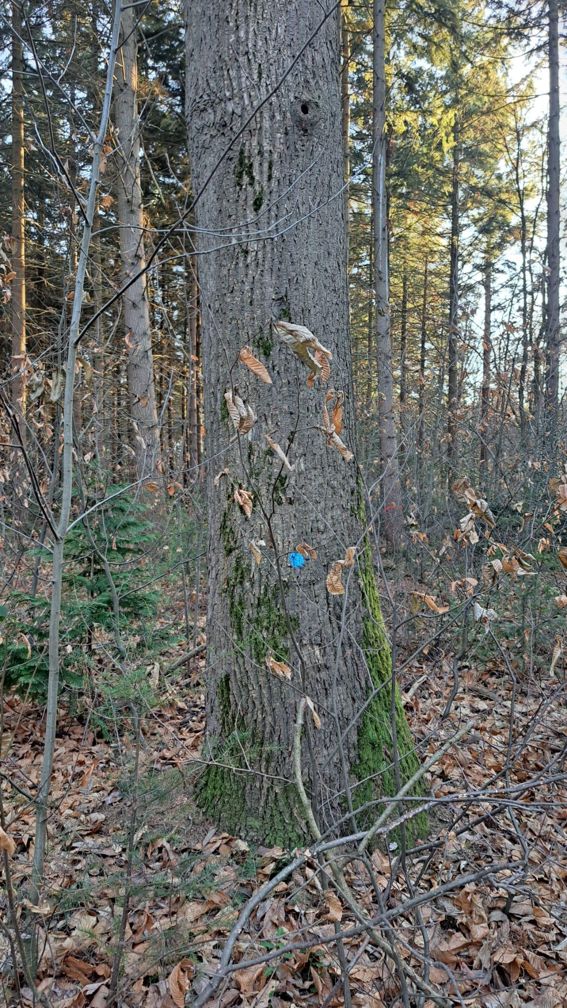 R1 2025-12-29 at 08.30.37 (5).jpeg